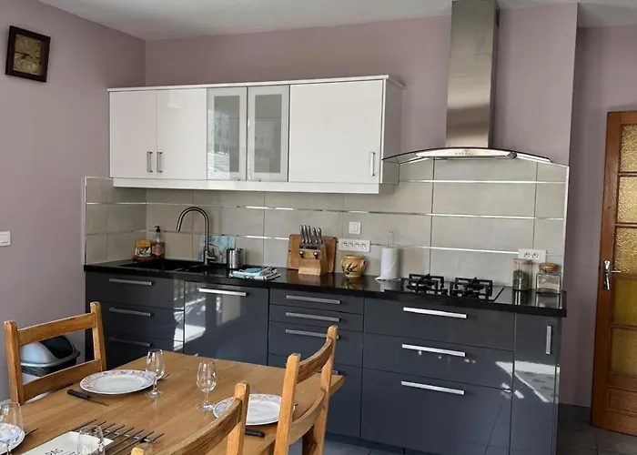 Le Sonise - Spacious Family With Balcony Garden And Parking Spac Aix-les-Bains